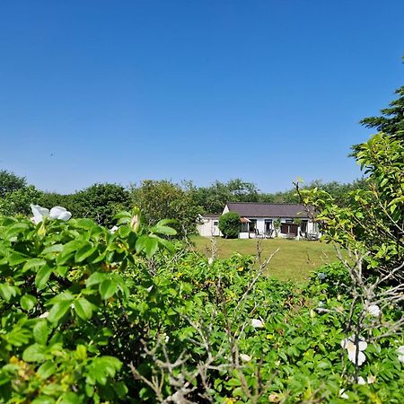 Vila Amalia Nes  Exteriér fotografie